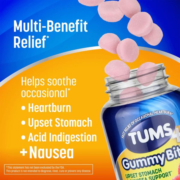 Upset Stomach & Nausea Support Dietary Supplement Ginger Berry - Image 2