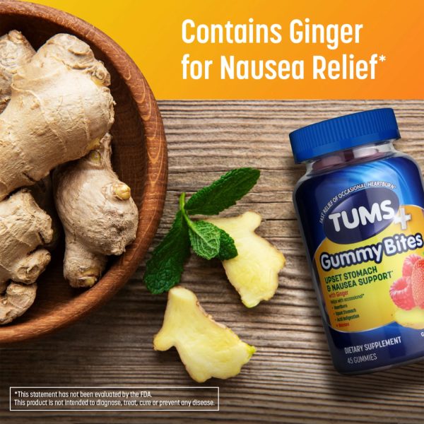 Upset Stomach & Nausea Support Dietary Supplement Ginger Berry - Image 3